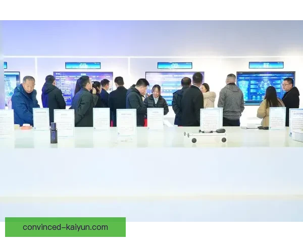 开云平台引领数字娱乐新时代打造安全稳定多元化服务生态体系升级 开云平台引领数字娱乐新时代打造安全稳定多元化服务生态体系升级