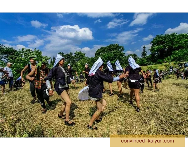 开云体育下载最新官方版本全面解析与安装指南