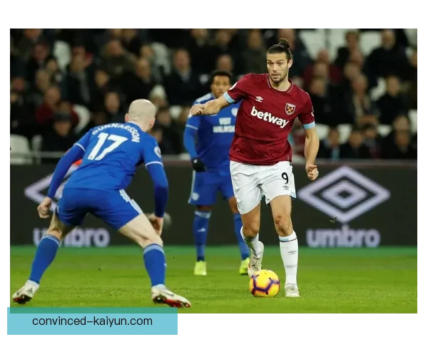 卡迪夫城足球俱乐部历史发展与成就探析