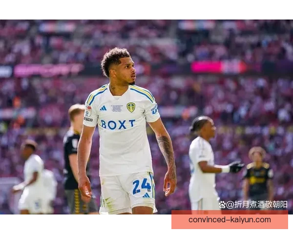 利兹联俱乐部百年沉浮与英格兰足球荣耀复兴之路探索